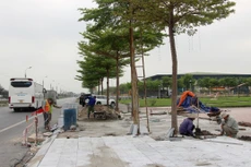 Ảnh chỉ mang tính minh họa. Nguồn Internet