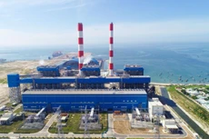 Ảnh chỉ mang tính minh họa. Nguồn Internet