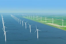 Ảnh chỉ mang tính minh họa. Nguồn Internet