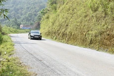 Ảnh chỉ mang tính minh họa. Nguồn Internet