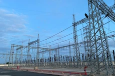 Ảnh chỉ mang tính minh họa. Nguồn Internet