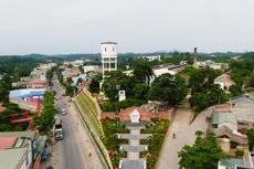 Ảnh chỉ mang tính minh họa. Nguồn Internet