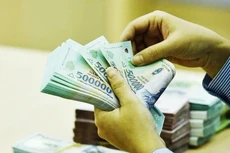Chính phủ chỉ đạo triển khai thi hành Luật Các tổ chức tín dụng