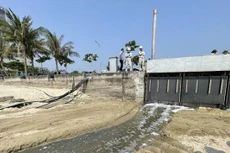 Ảnh chỉ mang tính minh họa. Nguồn Internet