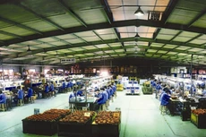 Ảnh chỉ mang tính minh họa. Nguồn Internet