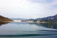 Ảnh chỉ mang tính minh họa. Nguồn Internet