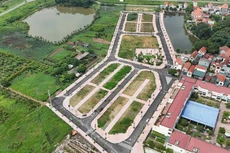 Khu vực 19 lô đất được đấu giá ở huyện Hoài Đức, Hà Nội với giá cao bất thường gây xôn xao dư luận