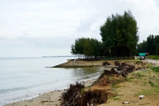 Bản tin thời sự sáng 24/8