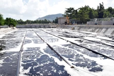 Ảnh chỉ mang tính minh họa. Nguồn Internet