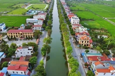 Ảnh chỉ mang tính minh họa. Nguồn Internet