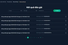 Biển số 30K-999.99 được trả giá 30,655 tỷ đồng.