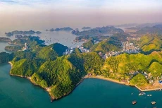 Ảnh chỉ mang tính minh họa. Nguồn Internet