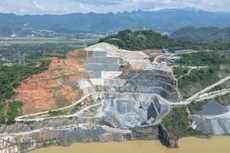 Ảnh chỉ mang tính minh họa. Nguồn Internet