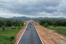 Ảnh chỉ mang tính minh họa. Nguồn Internet