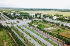 Ảnh chỉ mang tính minh họa. Nguồn Internet