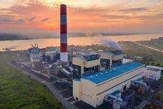 Ảnh chỉ mang tính minh họa. Nguồn Internet