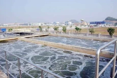 Ảnh chỉ mang tính minh họa. Nguồn Internet