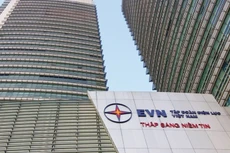 Chính phủ bỏ quy định về điều chuyển công trình điện vốn nhà nước sang EVN quản lý
