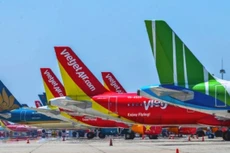 Ảnh chỉ mang tính minh họa. Nguồn Internet