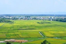 Ảnh chỉ mang tính minh họa. Nguồn Internet