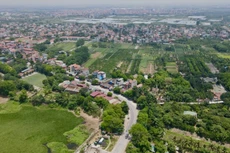 Ảnh chỉ mang tính minh họa. Nguồn Internet