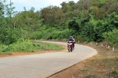 Ảnh chỉ mang tính minh họa. Nguồn Internet