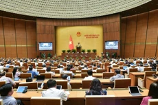 Kỳ họp thứ 7, Quốc hội khóa XV