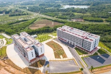 Ảnh chỉ mang tính minh họa. Nguồn Internet