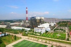 Ảnh chỉ mang tính minh họa. Nguồn Internet