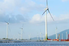 Ảnh chỉ mang tính minh họa. Nguồn Internet