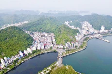 Chuyên gia: Dự án Sun Group sẽ giúp Cát Bà khẳng định vị thế