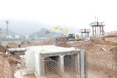 Ảnh chỉ mang tính minh họa. Nguồn Internet