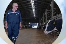 Tự chủ giống bò sữa, TH góp vai trò lớn giải bài toán khó của nông nghiệp Việt Nam