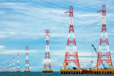 Ảnh chỉ mang tính minh họa. Nguồn Internet