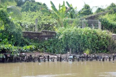 Ảnh chỉ mang tính minh họa. Nguồn Internet