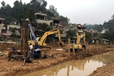 Ảnh chỉ mang tính minh họa. Nguồn Internet