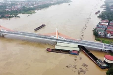 Hiện trường tàu hút cát cỡ lớn trôi dạt và mắc kẹt dưới chân cầu Vĩnh Phú