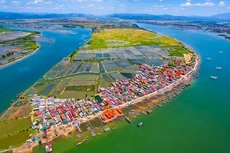 Ảnh chỉ mang tính minh họa. Nguồn Internet