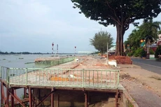 Ảnh chỉ mang tính minh họa. Nguồn Internet