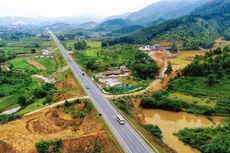 Ảnh chỉ mang tính minh họa. Nguồn Internet