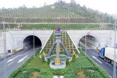 Ảnh chỉ mang tính minh họa. Nguồn Internet