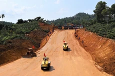 Ảnh chỉ mang tính minh họa. Nguồn Internet