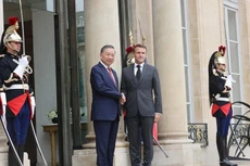 Tổng thống Pháp Emmanuel Macron đón Tổng Bí thư, Chủ tịch nước Tô Lâm. Ảnh: TTXVN
