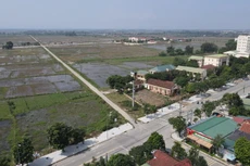 Ảnh chỉ mang tính minh họa. Nguồn Internet