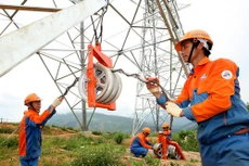 Ảnh chỉ mang tính minh họa. Nguồn Internet