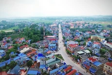 Ảnh chỉ mang tính minh họa. Nguồn Internet