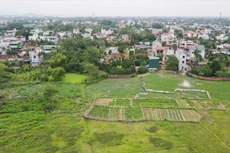 Ảnh chỉ mang tính minh họa. Nguồn Internet