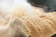 Ảnh chỉ mang tính minh họa. Nguồn Internet