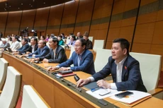 Các đại biểu Quốc hội tiến hành biểu quyết