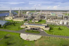 Ảnh chỉ mang tính minh họa. Nguồn Internet